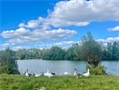 Photo numero 45636919 du bien UBI447077159
